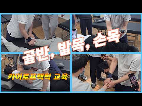 카이로프랙틱 교육 골반, 후두골 리프트, 발목, 손목, 경추 조정 manipulation course. <strong>pelvis</strong>, occipital, extremity adjustment.