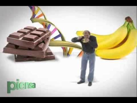 CHOCOLATE EN PELIGRO - ENRIQUE GANEM