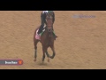 Dream Dance gallops 4.23