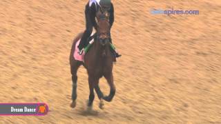 Dream Dance gallops 4.23