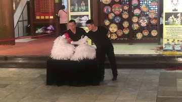 Swan Lake performed by artists of the Water Puppet Theater in Hanoi/Nhà hát múa rối nước ở Hà Nội