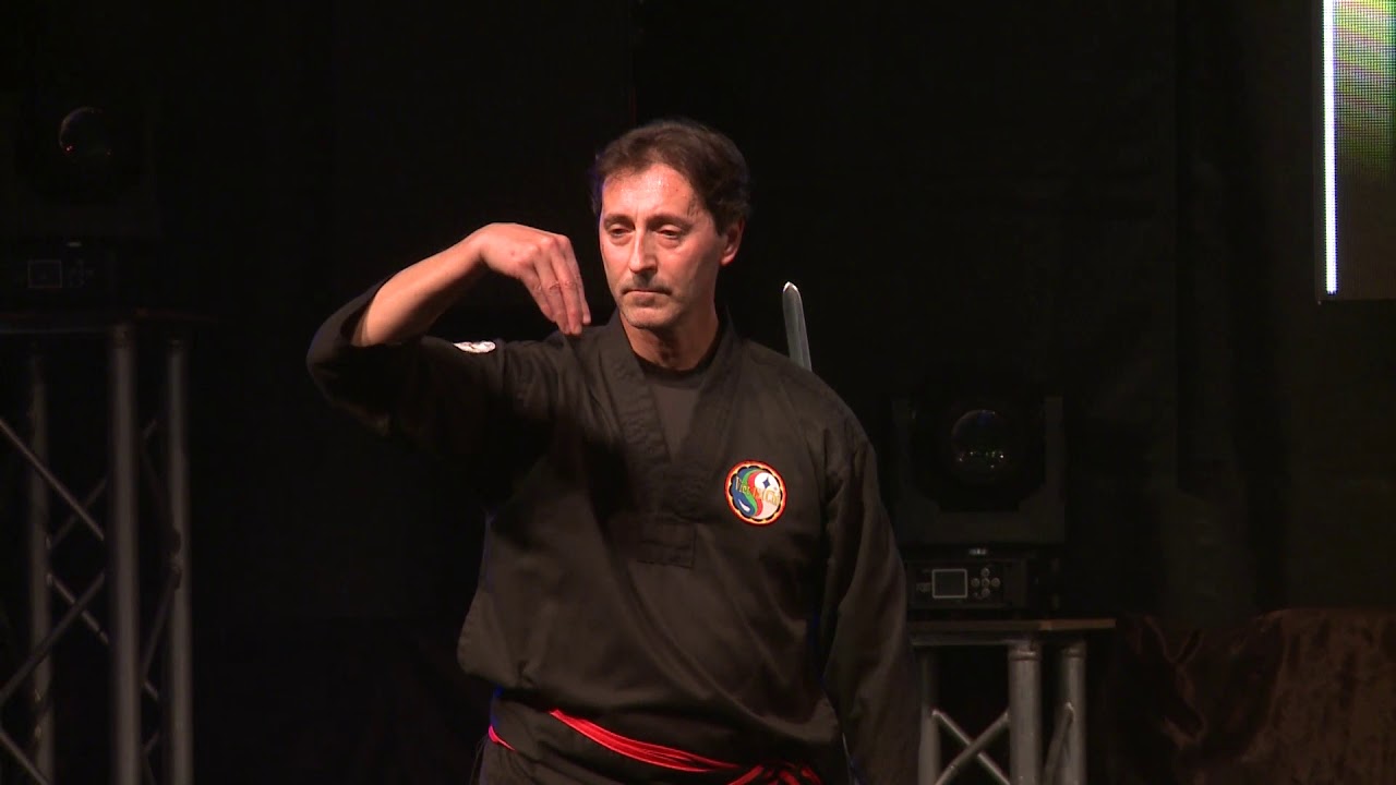2018 Viet Tai Chi col Maestro Maurizio Foschi /Rio's Got Talent