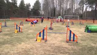 Jaanika Ja Bella Pärnu Agility Võistlus 05052013 A1 Hy