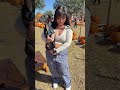 TAKING MY DOGS TO A PUMPKIN PATCH *not a good idea* #shorts30 #shorts #dog