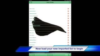 Team shake set up Wealth