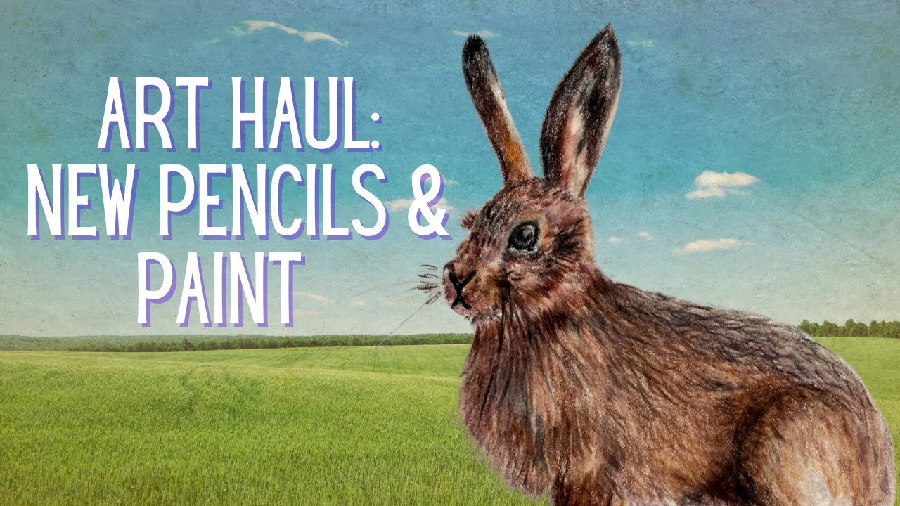 Art Haul   Derwent Lightfast and Graphitint