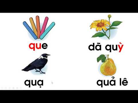 TUẦN 6 -TV1 - BÀI: q, qu, y