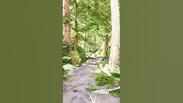 Lumion render video enviroment animation