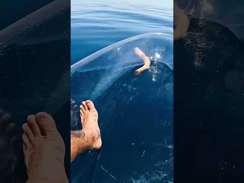 Transparent Kayak Hits Different In Deep Water..