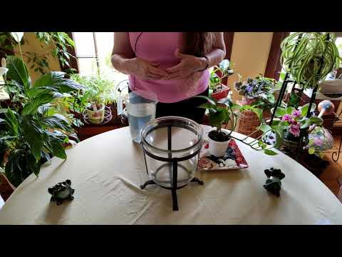 Video: Leaching Houseplants - Maklumat Mengenai Mencuci Garam Dari Tanah