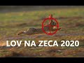 Lov na zeca 2020 - Banatsko Veliko Selo (01.11.2020)