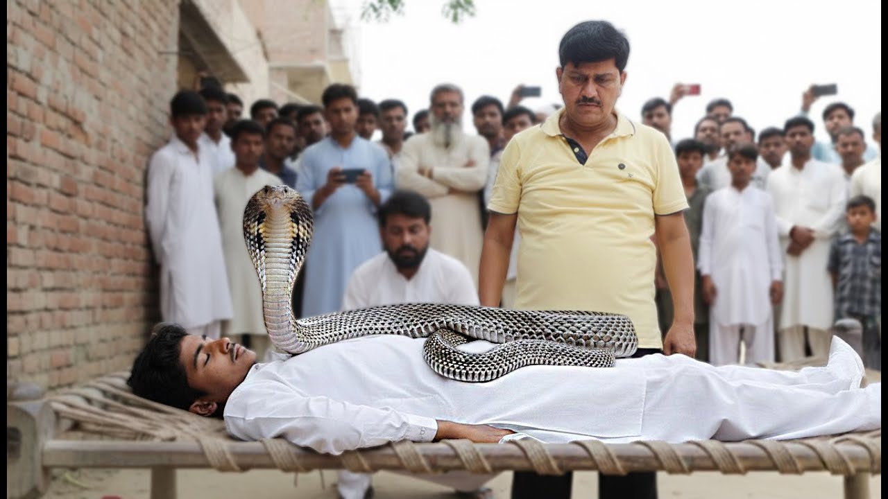 इस मासूम की मौत का जिम्मेदार कौन? Cobra काटने के बाद ख़ुद पहुँचा डॉक्टर के पास फिर भी नहीं बची जान!