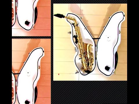 【 サックス 】消音器 ’ e-sax ’ を買ってみました！