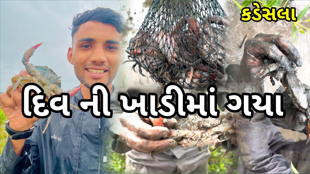 આજે તો દીવ ની ખાડીમાં આવી ગયા કડેશલા પકડવા😳 #vlog #diubeach #diu #lifestylevlog #villagevl #farming 