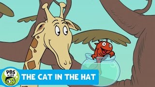 THE CAT IN THE HAT | Fish Facts: Giraffes | PBS KIDS