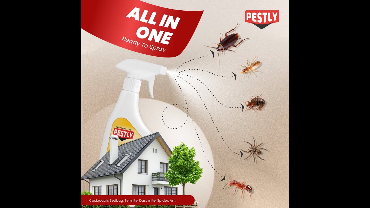 Maxone Spary One Spray, Zero Pests – Pestly Power! - YouTube