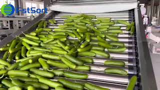 Adjustable Cucumber Grading Machine; Cucumber sorting machine; vegetables grading machine