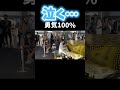 勇気100％（忍たま乱太郎）を都庁のストリートピアノで弾いてみたら