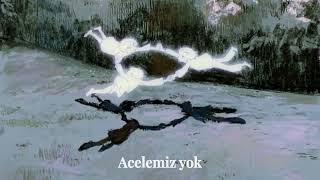 Oysters In My Pocket - Royel Otis (Türkçe Çeviri)