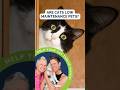 Debunking Low Maintenance Pets with The Two Crazy Cat Ladies