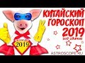 Китайский гороскоп 2019: восточный гороскоп для всех знаков китайского календаря на 2019 год