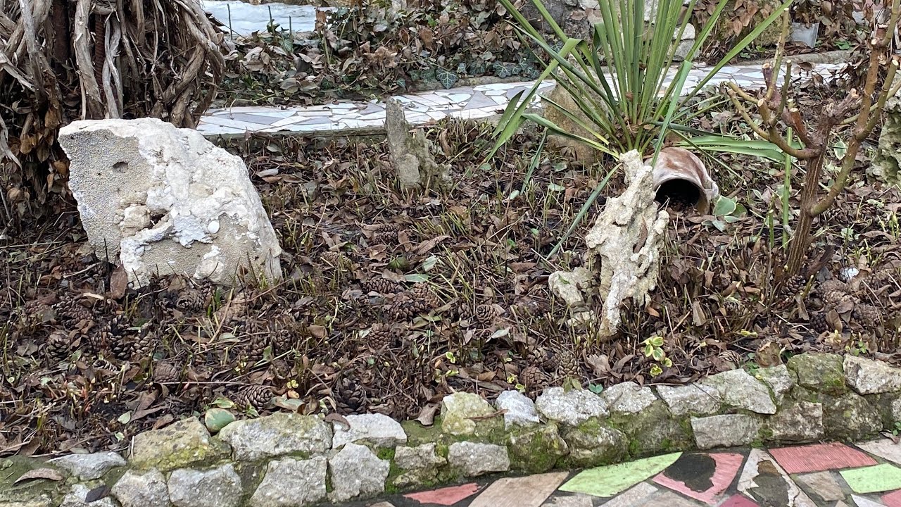 Барвиноквариегатный и весенние работы в саду!