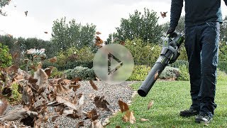 Ego Power Bladblazers