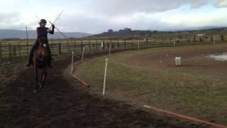 IMG 4973