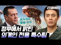 [#프리한19] 방송 끝난 뒤 기자와의 인터뷰에서 외계인 관련 기밀문서 언급한 총리, 전담 특수팀도 있다고?