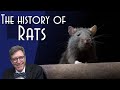 Rats: Humanity’s Dark Shadow Mp3 Song