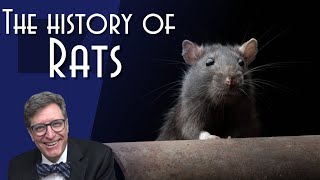 Rats: Humanity’s Dark Shadow