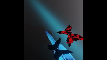 Moving Butterfly | Blender 3D Animation