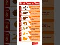 Stool chart #nursingeducation #hospital #healthassessment #clinicalskills #nurse #nursing #science