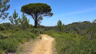Scenes of Portugal: Tapada Nacional de Mafra
