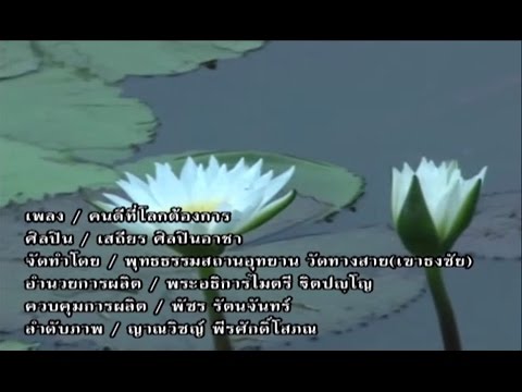 เพลงคนดีที่โลกต้องการ - โดย เสถียร ศิลปินอาชา