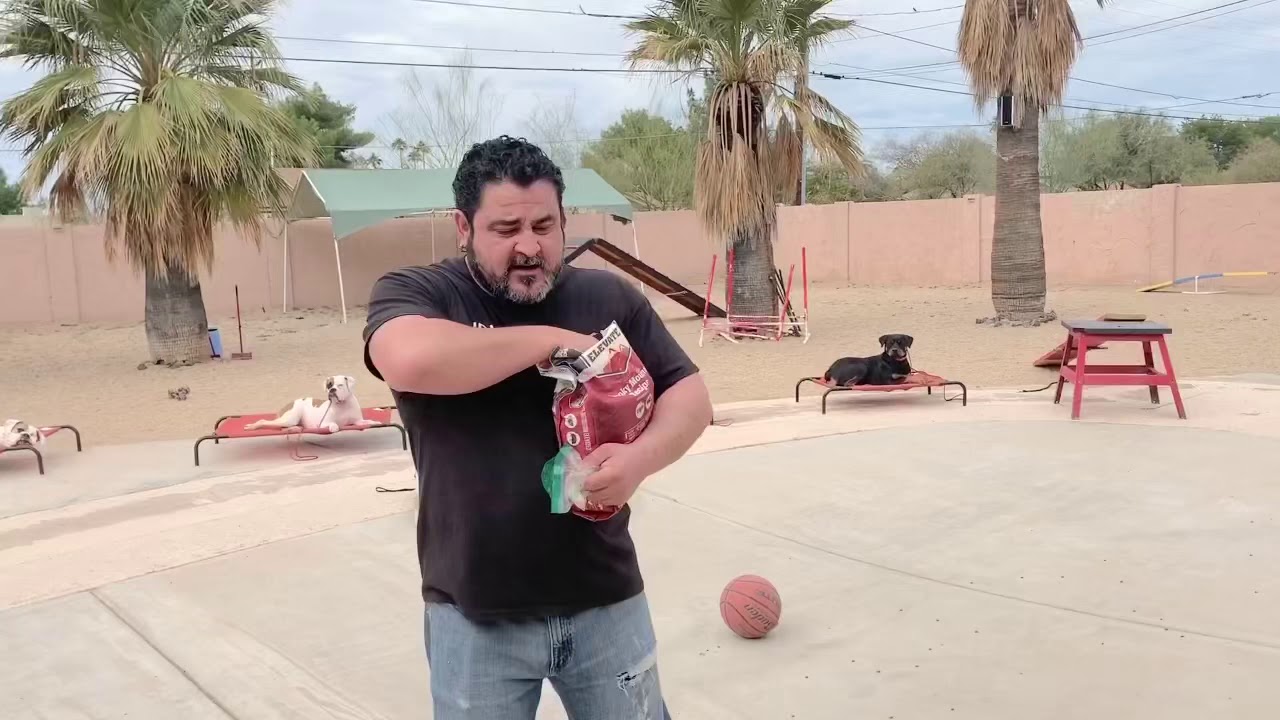 JD’s Powerhouse K9 Bootcamp Dog Training