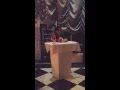 قصيدة المثنى 