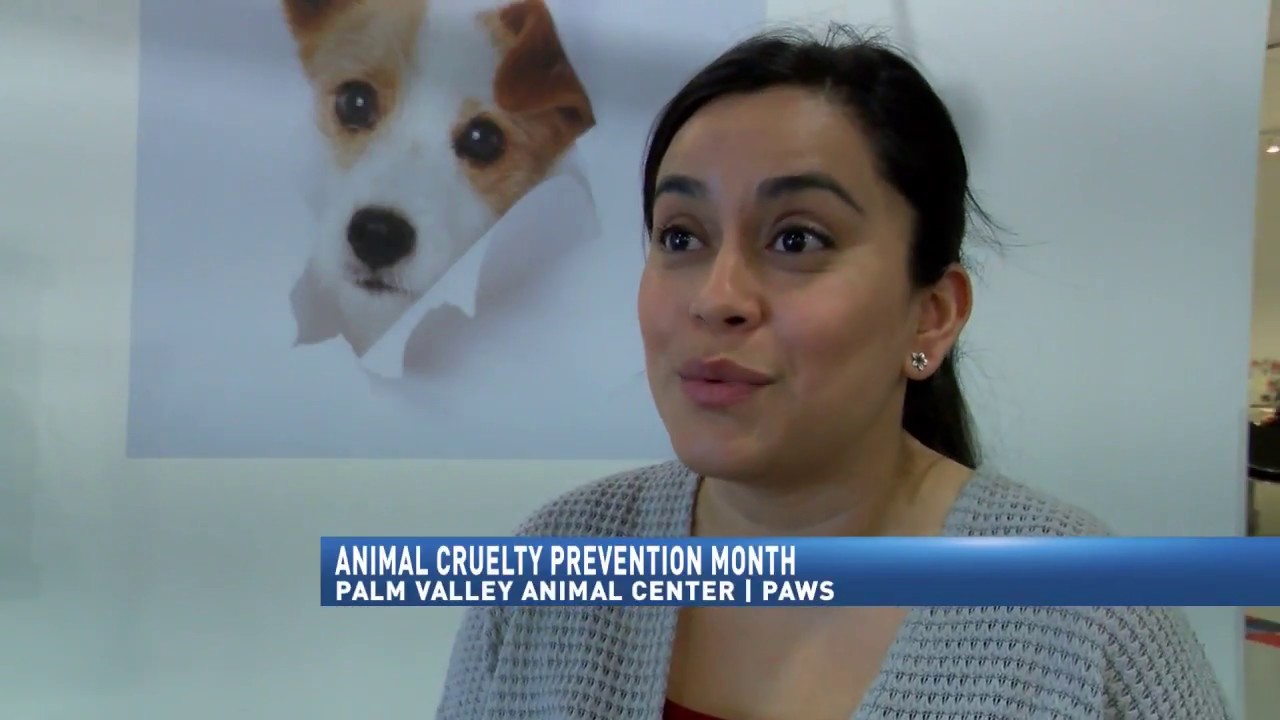 Animal Cruelty Prevention Month