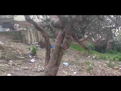 للاستفسار رقم الهاتف0777450611 قطعة ارض للبيع في طنجة عين الحياني بثمن مناسب 