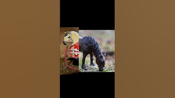 How my models would sound if they could talk #horse #custom #schleich