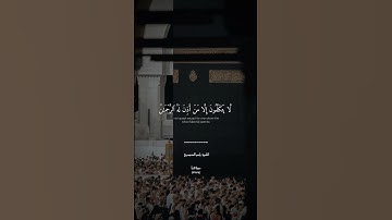 ياسر الدوسري ||يَوْمَ يَقُومُ الرُّوحُ وَالْمَلَائِكَةُ صَفًّا|| سورة النبأ