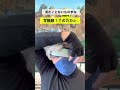 声を大きくしたバージョンアップした動画を再投稿してます!#naruto #カカシ #写輪眼 #ものまね #アニメ