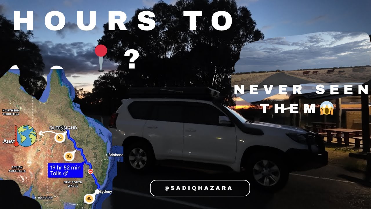 Australia’s Changing Colours | Sydney to Queensland Road Trip Vlog