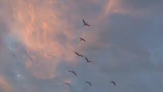Soar With the Wind: Classic Relaxation