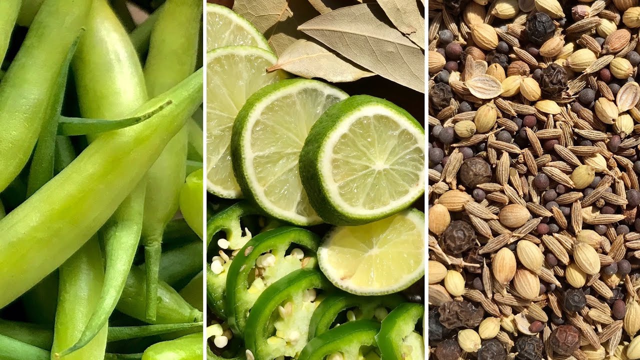 Pickled Radish Pods Recipe YouTube