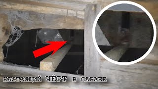 «НАСТОЯЩИЙ ЧЁРТИК В САРАЕ» НАПАЛ И БРОСАЕТ КАМНИ! НЕИЗВЕСТНЫЕ СУЩЕСТВА СНЯТЫЕ НА КАМЕРУ