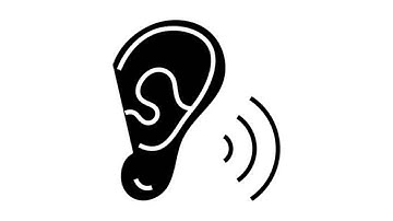 The five skills of communication (listening, speaking, reading, writing, viewing)