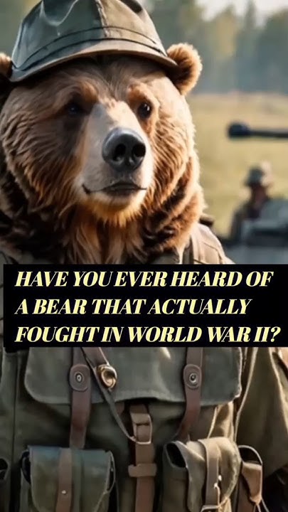 Wojtek The Bear That Went To War Full Movie "Wojtek: The Soldier Bear Who Went to War" #viral #shorts #historyfacts