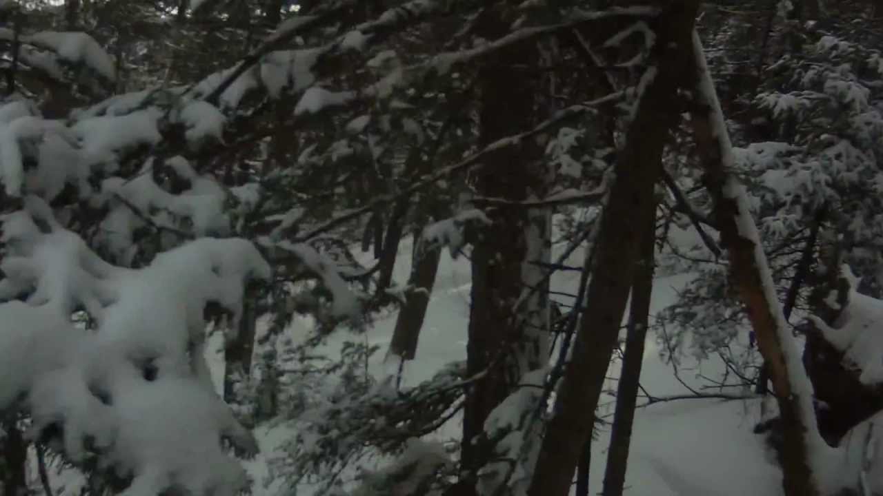 Sugarbush untracked Hughy powder 1-29-2013 pt. 2