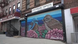 Invasion of birds in NYC all in the name of art